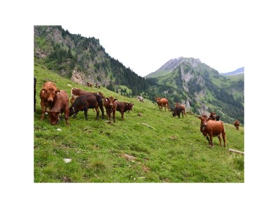 Holiday room Doppelzimmer Komfort - Outdoor photo 8