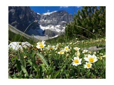 Apartment Ferienwohnung Olperer - Outdoor photo 19