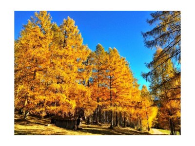 Apartment Ferienwohnung Olperer - Outdoor photo 26