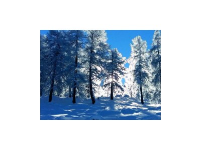 Apartment Ferienwohnung Olperer - Outdoor photo 39