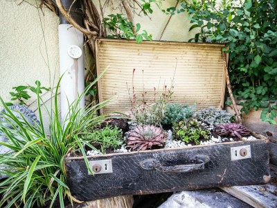 Apartment Ferienwohnung mit Terrasse und Bergblick - Outdoor photo 5