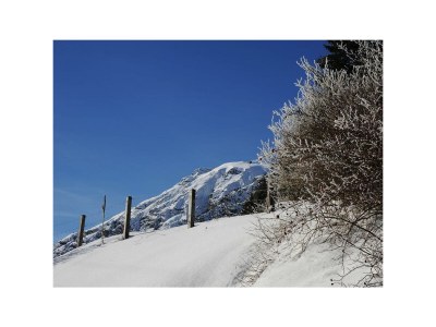 Apartment Ferienwohnung Bergler - Outdoor photo 5
