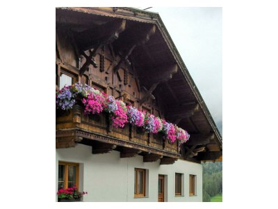 Apartment Appartement in Trins - Apartment