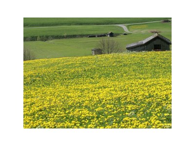 Apartment Ferienwohnung - Outdoor photo 6