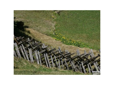 Apartment Ferienwohnung - Outdoor photo 7