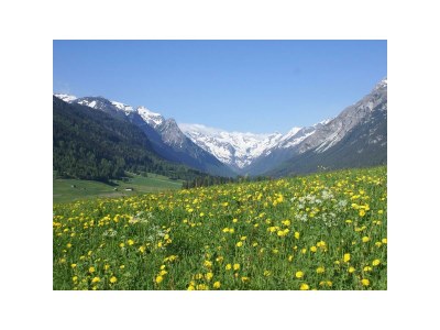 Apartment Ferienwohnung - Outdoor photo 8