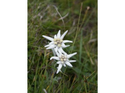 Apartment Ferienwohnung - Outdoor photo 9