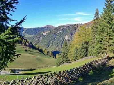 Apartment Ferienwohnung - Outdoor photo 21