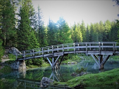 Apartment Ferienwohnung Lärchenwald - Outdoor photo 6