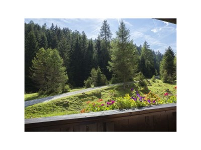 Apartment Ferienwohnung Lärchenwald - Outdoor photo 13