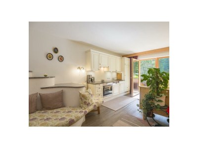 Apartment Ferienwohnung Lärchenwald - Outdoor photo 14