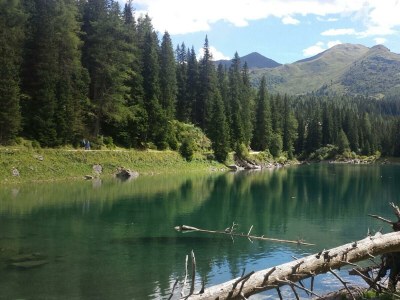 Apartment Ferienwohnung Lärchenwald - Outdoor photo 17
