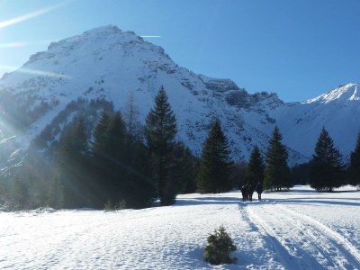 Apartment Ferienwohnung Lärchenwald - Outdoor photo 23