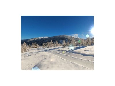 Apartment Ferienwohnung Lärchenwald - Outdoor photo 24