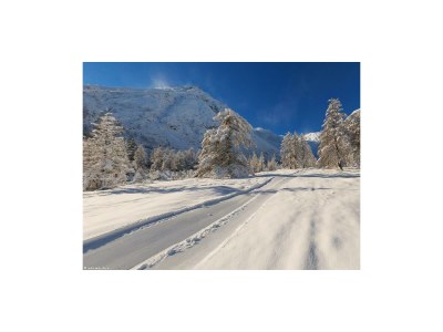 Apartment Ferienwohnung Lärchenwald - Outdoor photo 26