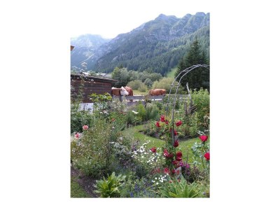 Apartment Ferienwohnung Lärchenwald - Outdoor photo 27