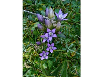 Apartment Ferienwohnung Lärchenwald - Outdoor photo 28