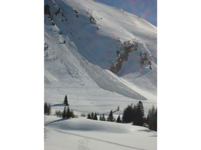 Apartment Ferienwohnung Lärchenwald - Outdoor photo 31