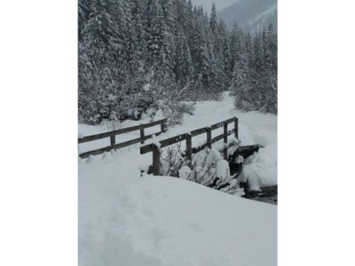 Apartment Ferienwohnung Lärchenwald - Outdoor photo 32