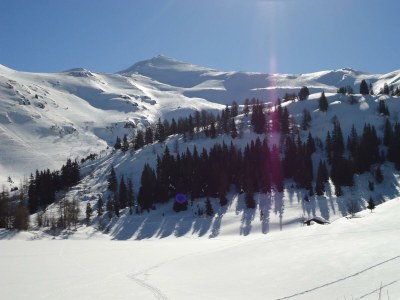 Apartment Ferienwohnung Lärchenwald - Outdoor photo 33