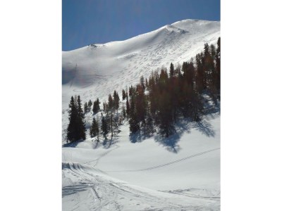 Apartment Ferienwohnung Lärchenwald - Outdoor photo 36