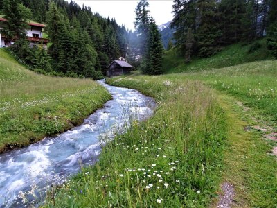 Apartment Ferienwohnung Lärchenwald - Outdoor photo 37