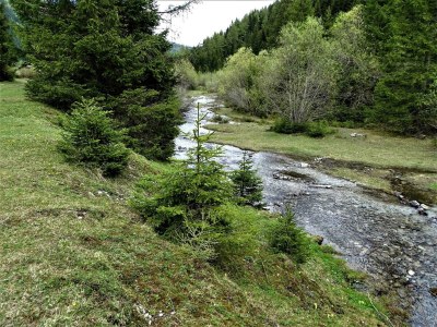 Apartment Ferienwohnung Lärchenwald - Outdoor photo 38