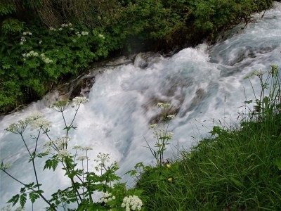 Apartment Ferienwohnung Lärchenwald - Outdoor photo 39