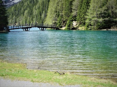 Apartment Ferienwohnung Lärchenwald - Outdoor photo 40