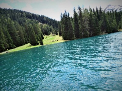 Apartment Ferienwohnung Lärchenwald - Outdoor photo 42