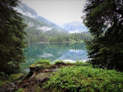 Apartment Ferienwohnung Lärchenwald - Outdoor photo 43