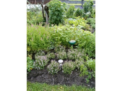 Apartment Ferienwohnung Lärchenwald - Outdoor photo 45