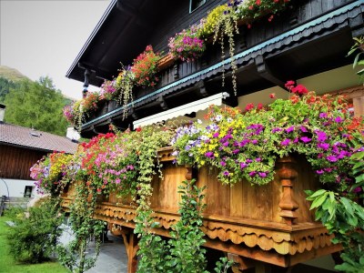 Apartment Ferienwohnung Lärchenwald - Outdoor photo 48