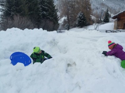 Apartment Ferienwohnung Lärchenwald - Outdoor photo 50