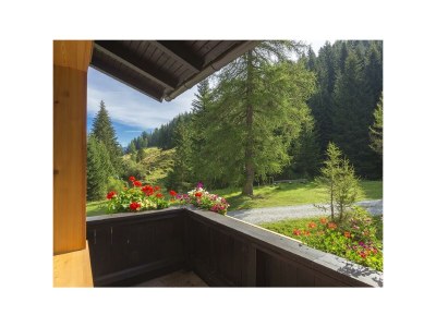 Apartment Ferienwohnung Lärchenwald - Features photo 54