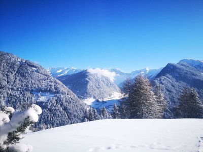 Apartment Appartement Alpenrose - Outdoor photo 8