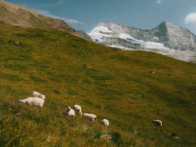 Apartment Sumpfkopf - Outdoor photo 17
