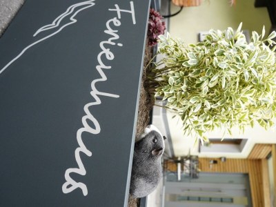 Apartment Ferienhäuschen - Outdoor photo 17