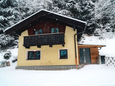 Apartment Ferienhäuschen - Outdoor photo 32