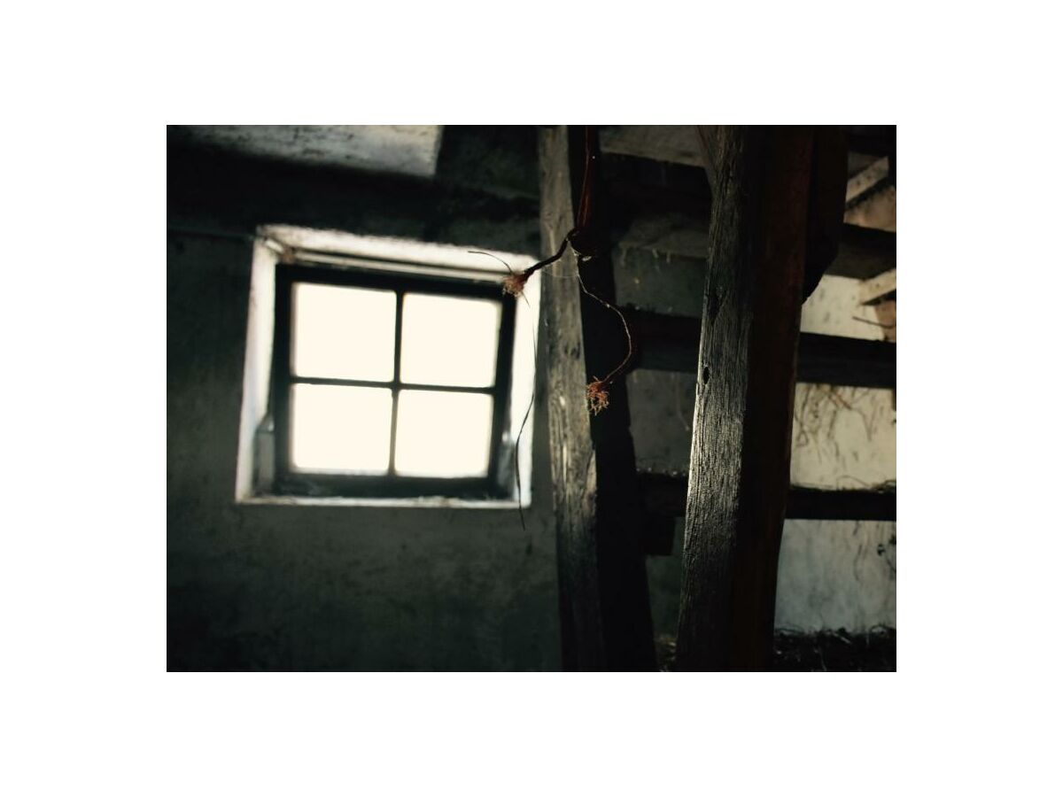 Apartment Ferienwohnung mit Terrasse und Garten - Outdoor photo 4