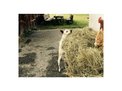 Apartment Ferienwohnung mit Terrasse und Garten - Outdoor photo 3