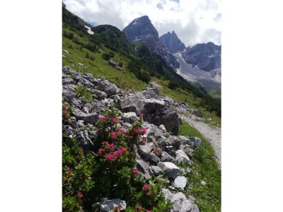 Holiday room Dreibettzimmer - Outdoor photo 10