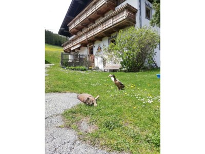 Holiday room Dreibettzimmer - Outdoor photo 14