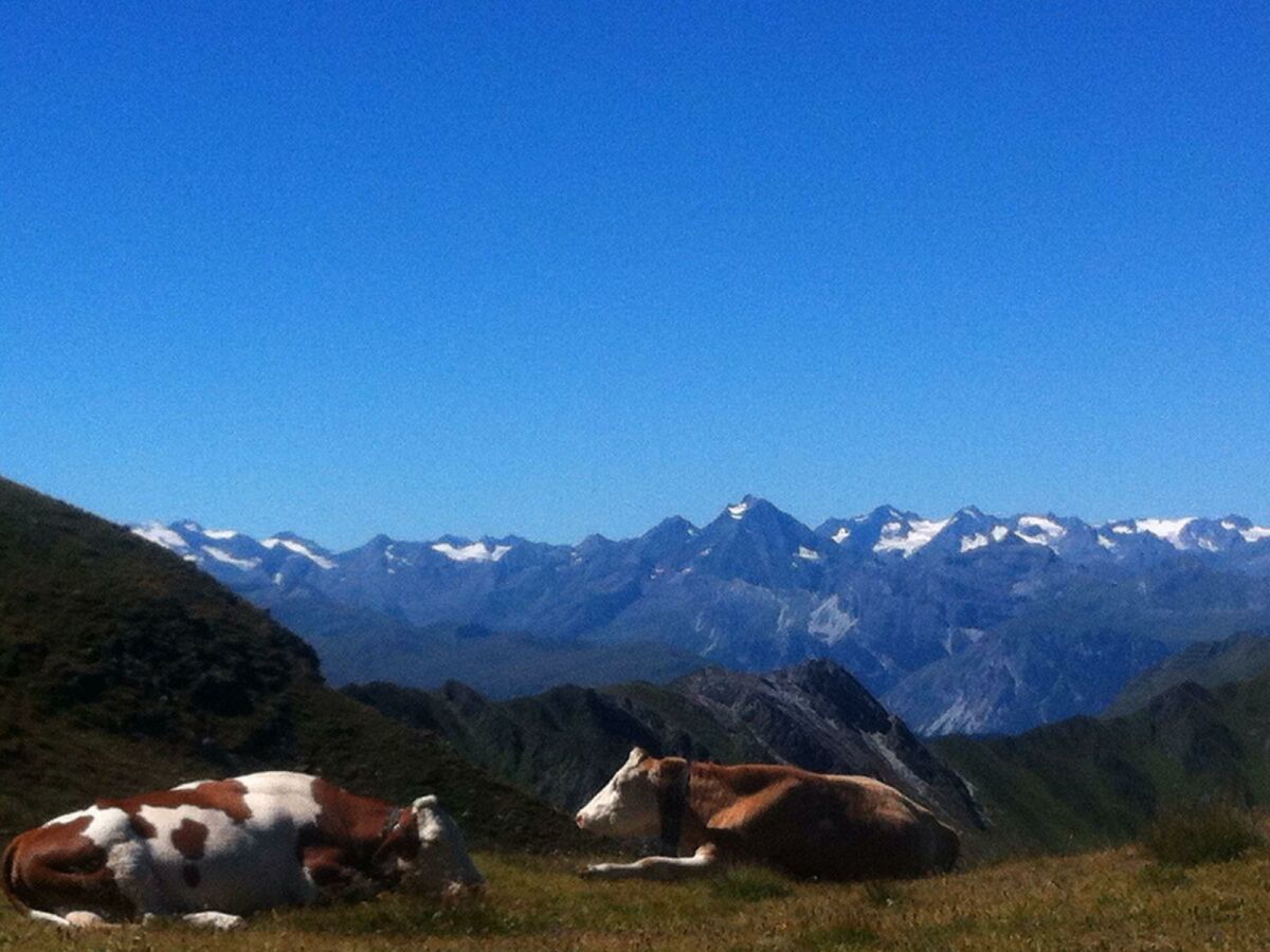 Apartment Appartement Tribulaunblick - Outdoor photo 4