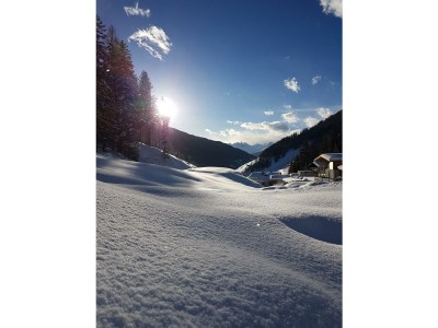 Apartment Appartement Tribulaunblick - Features photo 20