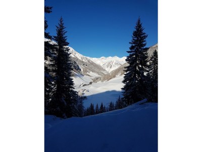 Apartment Appartement Tribulaunblick - Features photo 21