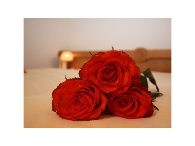 Apartment Ferienwohnung - Outdoor photo 11