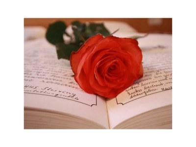 Apartment Ferienwohnung - Outdoor photo 15