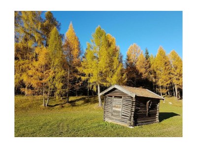Apartment Ferienwohnung Gattererhof - Outdoor photo 4