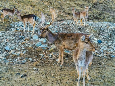 Apartment WippHome Ferienwohnung - Outdoor photo 11